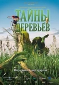 Тайны деревьев