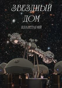 Звездный дом_прямой