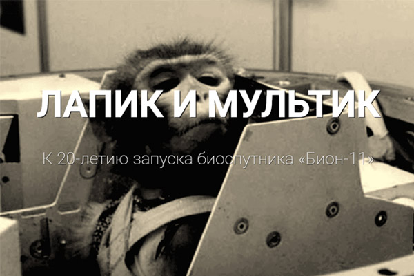 лапик_мультик