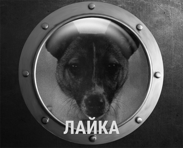 лайка