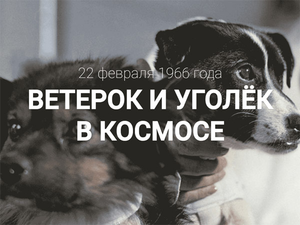 ветерок_уголек