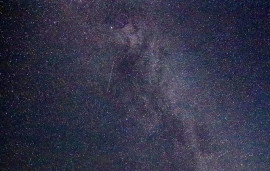perseids
