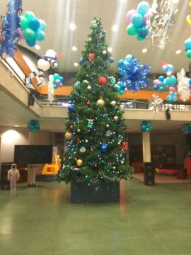 IMG_20181214_170328