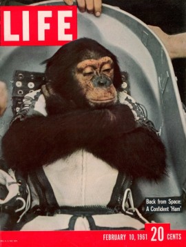 Шимпанзе Хэм. 10 февраля 1961 г. Обложка журнала “Life”