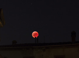luna-5973204_1920