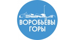 ГБПОУ «Воробьевы горы»