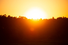 sunset-field