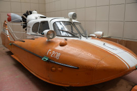 Сани