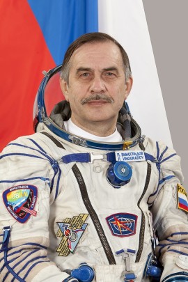 Виноградов (на обложку статьи)