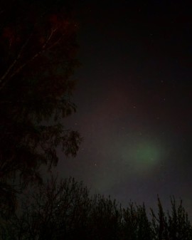 фото для АН апрель