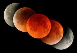 фото для АН сентябрь 2025