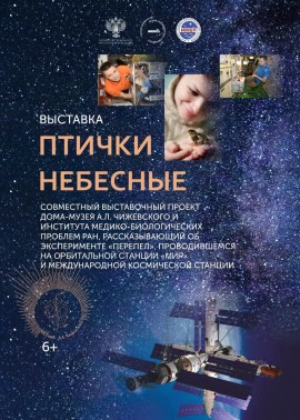 Птички