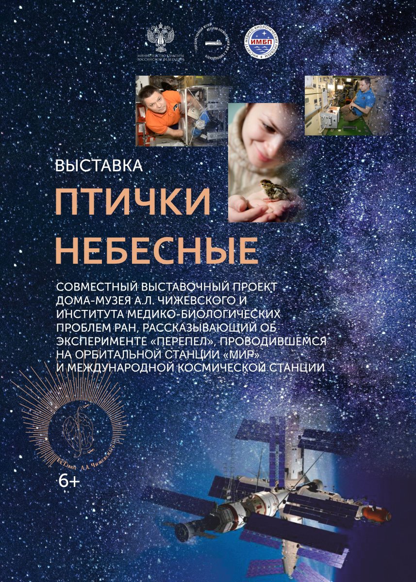 Птички
